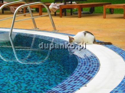 Nietypowe...., Krosno, podkarpackie - sex anons zdjęcie nr 3