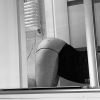 PasywZlokum, Warszawa, mazowieckie - erotic offer photo nr 1