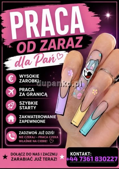 Work4You, Warszawa, mazowieckie - erotic offer photo nr 1