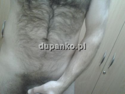 wyuzdany40ogier, Gdynia, pomorskie - erotische Anzeigen Foto nr 1