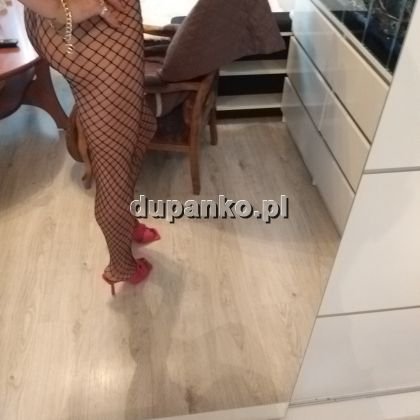 TransAlicja33, Poznań, wielkopolskie - sex anons zdjęcie nr 11