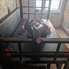 SzukamNiewolnik, Warszawa, mazowieckie - erotische Anzeigen Foto nr 8