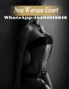 NewWarsawEscort, Warszawa