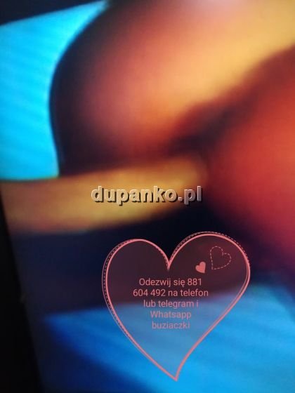 sexuspragniony, Ostrów Wielkopolski, wielkopolskie - erotische Anzeigen Foto nr 5
