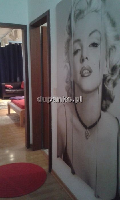 Apartamenty , Wrocław, dolnośląskie - erotische Anzeigen Foto nr 4