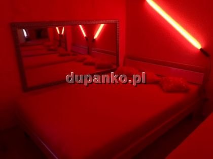 Golden-Girls, Warszawa, mazowieckie - erotische Anzeigen Foto nr 3