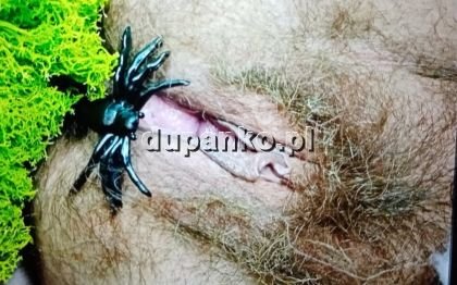 Chętny na sex kobietami 50-70 lat, Poznań, wielkopolskie - erotic offer photo nr 7