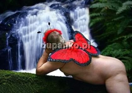 Paweł, Żywiec, śląskie - erotic offer photo nr 1