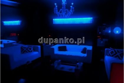 Caramelo, Sosnowiec, śląskie - erotic offer photo nr 1