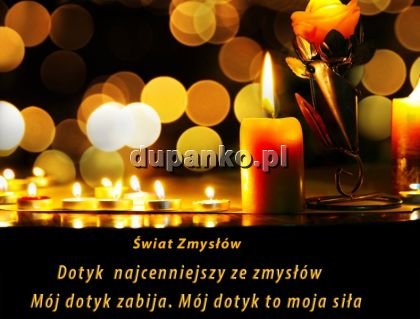 Lukasz.masażysta, Gdańsk, pomorskie - erotic offer photo nr 9