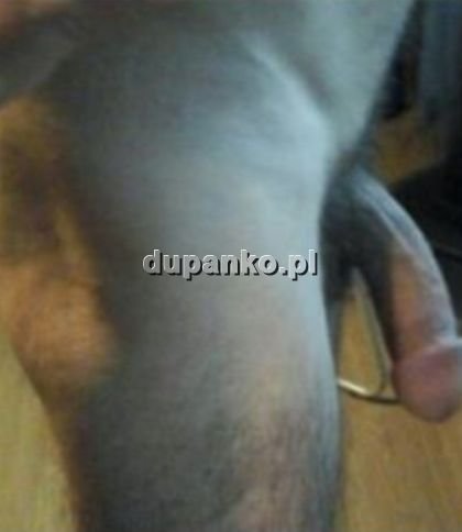Paweł100, Bytom, śląskie - erotic offer photo nr 2