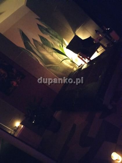 Massage, Wrocław, dolnośląskie - erotische Anzeigen Foto nr 2