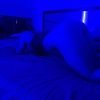 Vanessa&Monica, Kraków, małopolskie - sex anons zdjęcie nr 1
