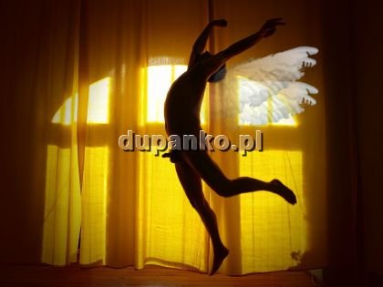Krzysztof61Wroc, Wrocław, dolnośląskie - erotic offer photo nr 4