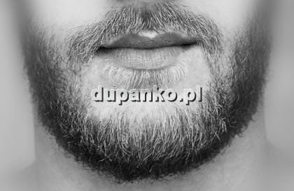 PawMas89, Kraków, małopolskie - erotische Anzeigen Foto nr 4