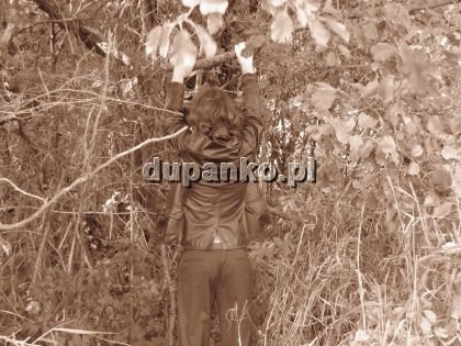maniekdawid, Poznań, wielkopolskie - erotische Anzeigen Foto nr 1