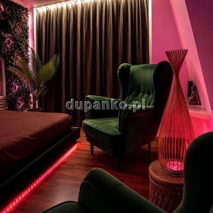 VINNERI, Gdynia, pomorskie - sex anons zdjęcie nr 11