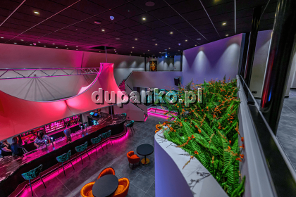 Holland, Szczecin, zachodniopomorskie - erotic offer photo nr 1