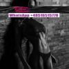 Katowice Escort, Warszawa, mazowieckie - erotic offer photo nr 3